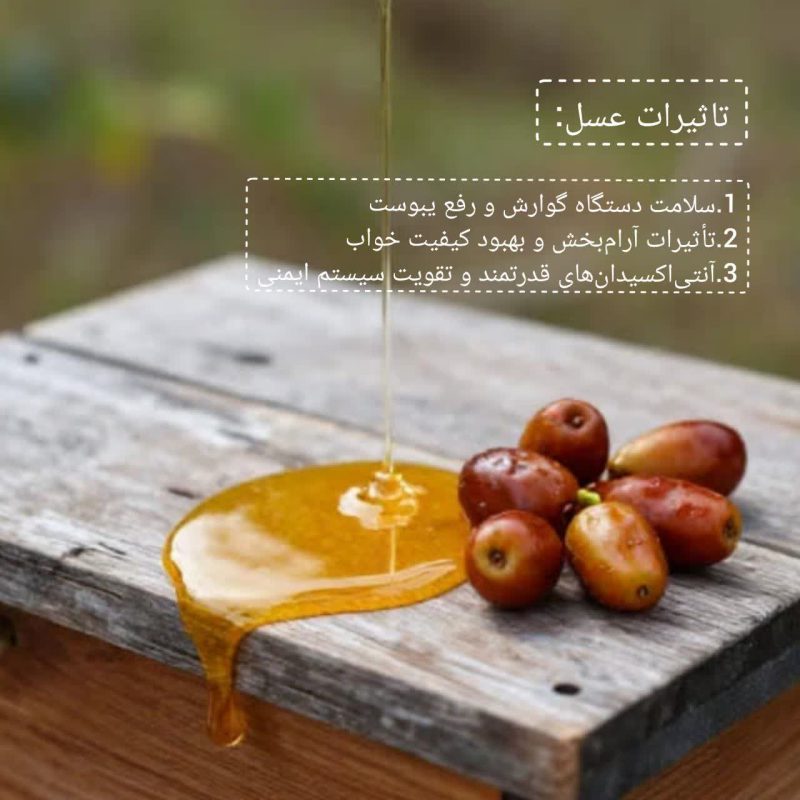 عسل عناب: خواص، ترکیبات و فواید درمانی مقدمه: معرفی عسل عناب عسل عناب، که از شهد گل‌های درخت عناب (Ziziphus jujuba) به دست می‌آید، یکی از گران‌بها‌ترین و شناخته‌شده‌ترین عسل‌های سنتی در طب سنتی ایران و شرق آسیا است. این عسل نه تنها به دلیل طعم شیرین و متمایز خود مورد توجه است، بلکه به دلیل رنگ کهربایی تیره و غلظت مناسب، از نظر ترکیبات مغذی نیز بسیار غنی محسوب می‌شود. برخلاف عسل‌های رایج‌تر مانند آویشن یا گون، عسل عناب ترکیبات زیست‌فعال ویژه‌ای دارد که آن را به یک داروی طبیعی ارزشمند تبدیل کرده است. درخت عناب، که بومی مناطق گرمسیری و نیمه‌گرمسیری است، هزاران سال است که به دلیل میوه‌های مغذی (خرمای چینی) و خواص دارویی برگ‌ها و گل‌هایش شناخته شده است. جمع‌آوری شهد این گل‌ها توسط زنبورعسل، منجر به تولید عسلی با پروفایل شیمیایی منحصربه‌فرد می‌شود. این عسل اغلب حاوی مقادیر بیشتری از مواد معدنی کمیاب و ترکیبات آنتی‌اکسیدانی نسبت به عسل‌های معمولی است. عسل عناب به دلیل تأثیرات آرام‌بخشی و تقویت‌کنندگی‌اش در فرهنگ‌های مختلف مورد احترام بوده است. به دلیل ویژگی‌های منحصر به فرد، توجه پژوهشگران نوین نیز به این محصول جلب شده است تا خواص سنتی آن با شواهد علمی مورد تأیید قرار گیرد. این مقاله به بررسی جامع خواص، ترکیبات و کاربردهای عسل عناب برای عموم می‌پردازد. خواص درمانی و فواید اصلی عسل عناب آنتی‌اکسیدان‌های قدرتمند و تقویت سیستم ایمنی عسل عناب به دلیل دارا بودن مقادیر قابل توجهی از ترکیبات فنلی، فلاونوئیدها و ویتامین C، یک منبع عالی از آنتی‌اکسیدان‌ها به شمار می‌آید. این ترکیبات به مبارزه با رادیکال‌های آزاد در بدن کمک کرده و استرس اکسیداتیو را کاهش می‌دهند. استرس اکسیداتیو یکی از عوامل اصلی در پیری سلولی و بروز بیماری‌های مزمن مانند سرطان و بیماری‌های قلبی-عروقی است. بر اساس مطالعات تجزیه و تحلیل شیمیایی، میزان ترکیبات فنولی در عسل عناب می‌تواند از میانگین عسل‌های تک‌گل فراتر رود. این خاصیت نقش مستقیمی در تقویت عملکرد سیستم ایمنی بدن، پیشگیری از بیماری‌های مزمن و کاهش التهابات دارد. مصرف منظم این عسل می‌تواند بدن را در برابر عوامل بیماری‌زا مقاوم‌تر سازد و به حفظ سلامت سلولی کمک کند. تأثیرات آرام‌بخش و بهبود کیفیت خواب یکی از مشهورترین کاربردهای سنتی عسل عناب، خاصیت آرام‌بخشی آن است. در طب سنتی، از این عسل برای تسکین اعصاب و کمک به خواب راحت استفاده می‌شد. اعتقاد بر این است که ترکیبات موجود در عسل عناب، به ویژه برخی ساپونین‌ها و پلی‌فنول‌ها، بر سیستم عصبی مرکزی تأثیر گذاشته و به تنظیم فعالیت‌های عصبی کمک می‌کنند. این امر می‌تواند به کاهش اضطراب و بهبود کیفیت خواب شبانه کمک کند. برای بهره‌مندی از این خاصیت، مصرف یک قاشق از این عسل قبل از خواب، به ویژه با یک لیوان شیر گرم یا دمنوش سنتی مانند سنبل‌الطیب یا بابونه، توصیه می‌شود. این ترکیب نه تنها ملاتونین طبیعی بدن را تحریک می‌کند، بلکه به آرامش ماهیچه‌ها نیز یاری می‌رساند. سلامت دستگاه گوارش و رفع یبوست عسل عناب دارای خواص پروبیوتیک خفیفی است و می‌تواند به حفظ تعادل باکتری‌های مفید در روده کمک کند، که برای سلامت میکروبیوم روده ضروری است. علاوه بر این، به دلیل داشتن فیبرهای طبیعی (که از طریق شهد گیاه به عسل منتقل می‌شود) و خاصیت ملین بودن، برای افرادی که با مشکلات گوارشی مانند یبوست دست و پنجه نرم می‌کنند، بسیار مفید است. این عسل با جذب آب در دستگاه گوارش، حجم مدفوع را افزایش داده و به حرکت منظم دستگاه گوارش کمک کرده و از سوءهاضمه جلوگیری می‌کند. مصرف منظم آن به پاکسازی طبیعی دستگاه گوارش کمک شایانی می‌کند. بهبود عملکرد قلب و عروق تحقیقات اولیه نشان داده‌اند که عسل عناب ممکن است در تنظیم فشار خون و کاهش سطح کلسترول بد (LDL) نقش داشته باشد. آنتی‌اکسیدان‌های موجود در آن به حفظ سلامت دیواره عروق و پیشگیری از تصلب شرایین کمک می‌کنند. مطالعات نشان می‌دهند که فلاونوئیدها با مهار اکسیداسیون لیپوپروتئین‌ها، عامل اصلی در تشکیل پلاک‌های آترواسکلروتیک، عمل می‌کنند. این امر به سلامت عمومی قلب و عروق منجر می‌شود و خطر ابتلا به بیماری‌های قلبی را کاهش می‌دهد. نحوه مصرف و نکات مهم عسل عناب را می‌توان به اشکال مختلف مصرف کرد: به صورت مستقیم (یک تا دو قاشق در روز)، مخلوط با آب ولرم و آبلیمو در صبح برای شروع متابولیسم، به عنوان شیرین‌کننده طبیعی چای و دمنوش‌ها، یا به عنوان افزودنی در ماست و اسموتی‌ها. نکته حیاتی در نگهداری: نکته مهم این است که برای حفظ خواص درمانی، به ویژه فعالیت آنزیم دیاستاز و ویتامین‌های حساس، نباید آن را در معرض حرارت بسیار بالا (بالاتر از 40 درجه سانتی‌گراد) قرار داد، زیرا گرما می‌تواند برخی از آنزیم‌ها و ویتامین‌های حساس آن را از بین ببرد. همچنین، توصیه می‌شود که این عسل به دور از نور مستقیم خورشید و در دمای اتاق نگهداری شود. جمع‌بندی عسل عناب: خواص، ترکیبات و فواید درمانیعسل عناب: خواص، ترکیبات و فواید درمانی